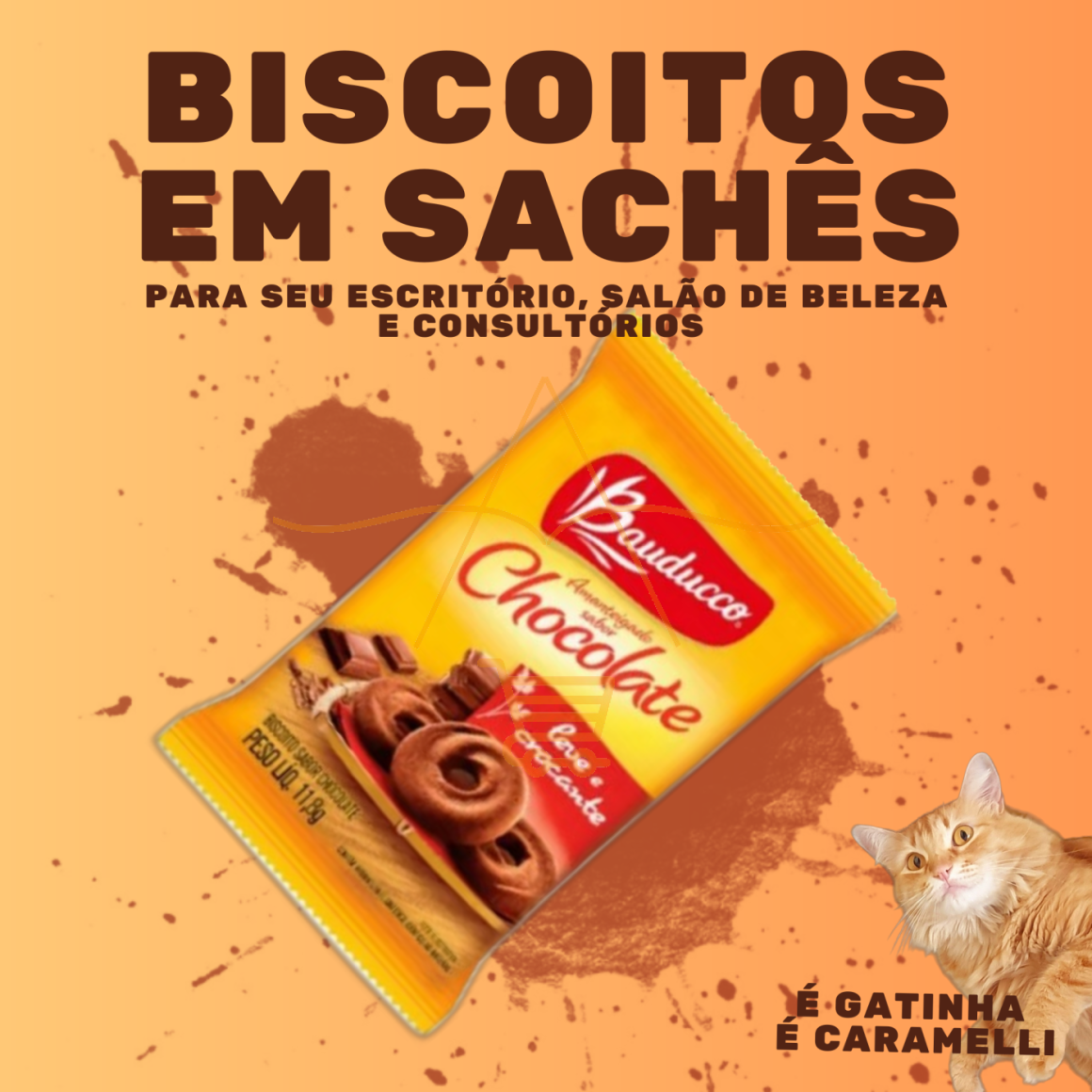 Biscoito Bauducco Sache Chocolate Maizena Cream Cracker 80un